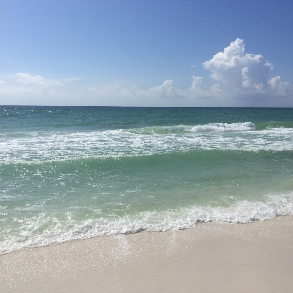 Meet your Posher, Barbara